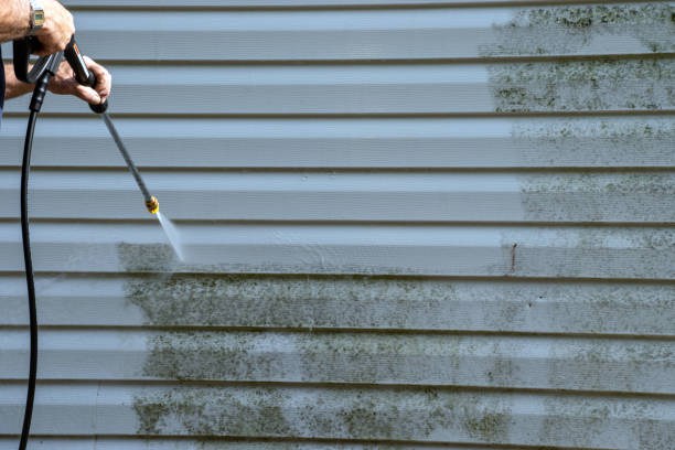 Trusted Lyndon, KY Junk Removal Experts