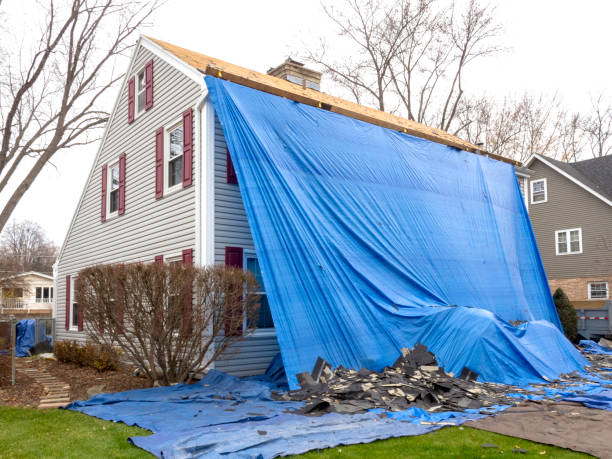 Shed Removal in Lyndon, KY